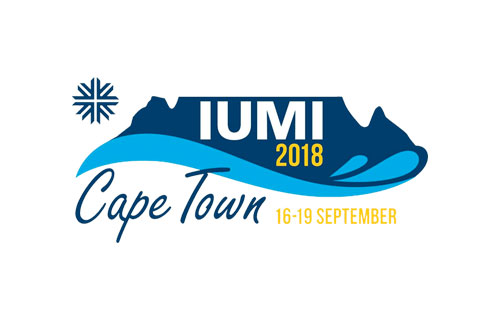 IUMI Conference Copper Sponsor